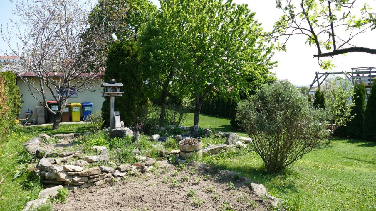 Gaestehaus Fischbach Nyulas Kültér fotó